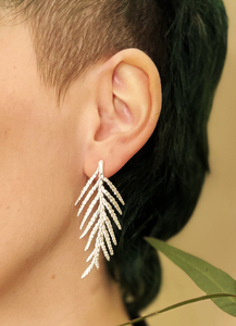 Sparkling Cedar Earrings in Silver